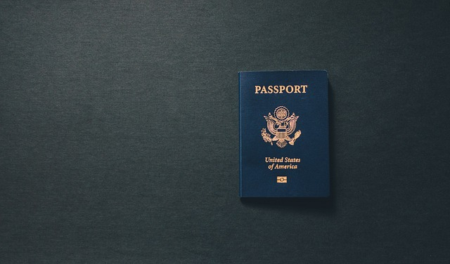 surrendering passport when considered as flight risk